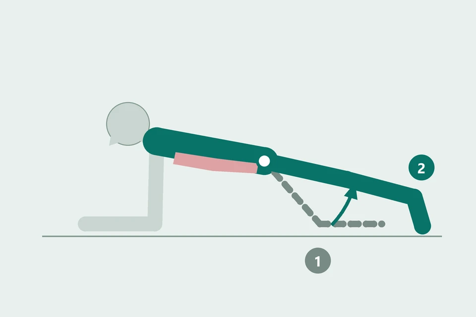 Side view of a supported plank: the knees leave the mat from the bent-leg start (1, dashed) to a long plank (2, teal), with the torso steady.