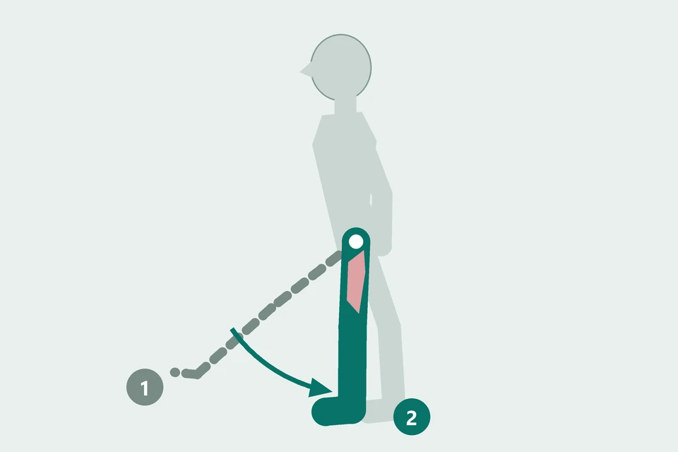Side view: a thigh moves from a forward-raised position (1, dashed) back beneath the pelvis (2, teal).
