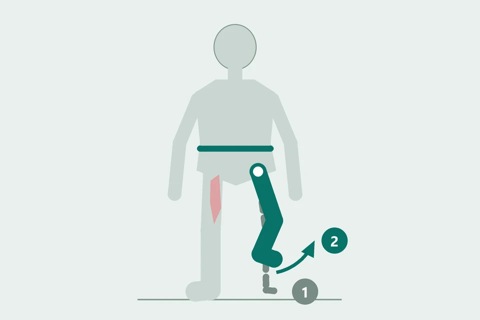 Front view: one foot lifts from a two-foot stance (1, dashed) into a step (2, teal), while the pelvis above the supporting leg stays level.