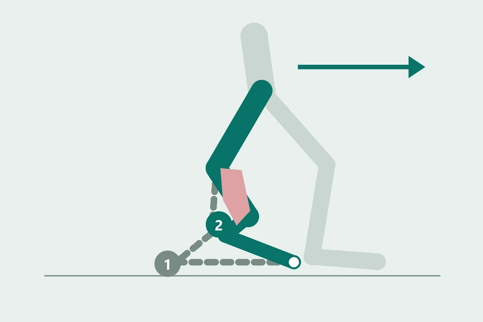 Side view of a walking push-off: the rear heel rises (2, teal) and an arrow points the body forward.