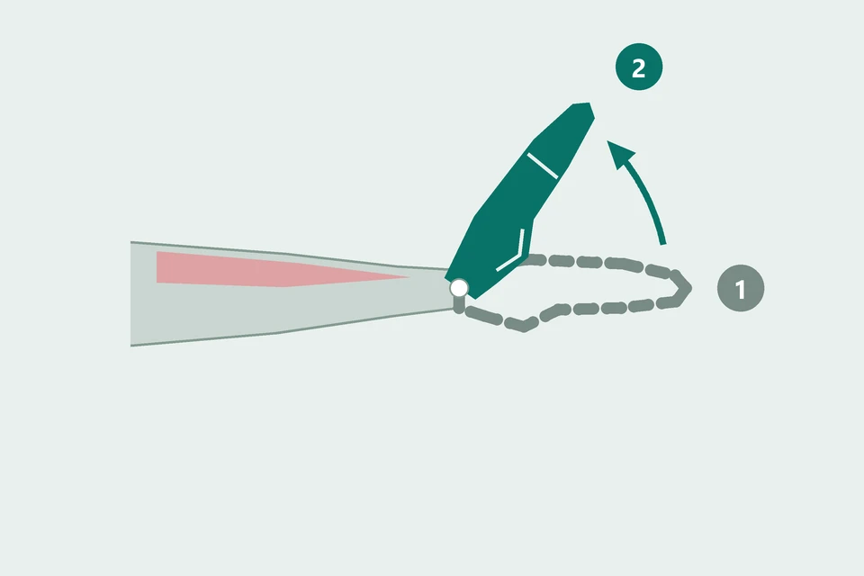 Side view, palm facing down: the hand moves from a straight wrist (1, dashed) upward into extension (2, teal).