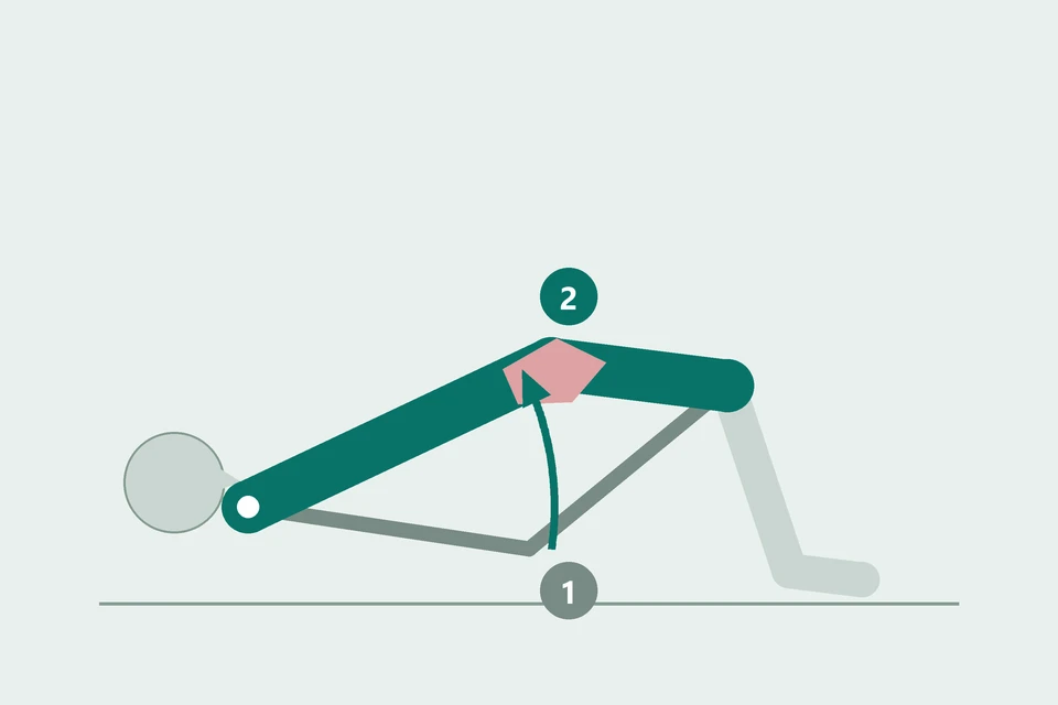 Side view of a bridge: the pelvis moves from the floor (1, dashed) upward until shoulders, hips and knees align (2, teal).