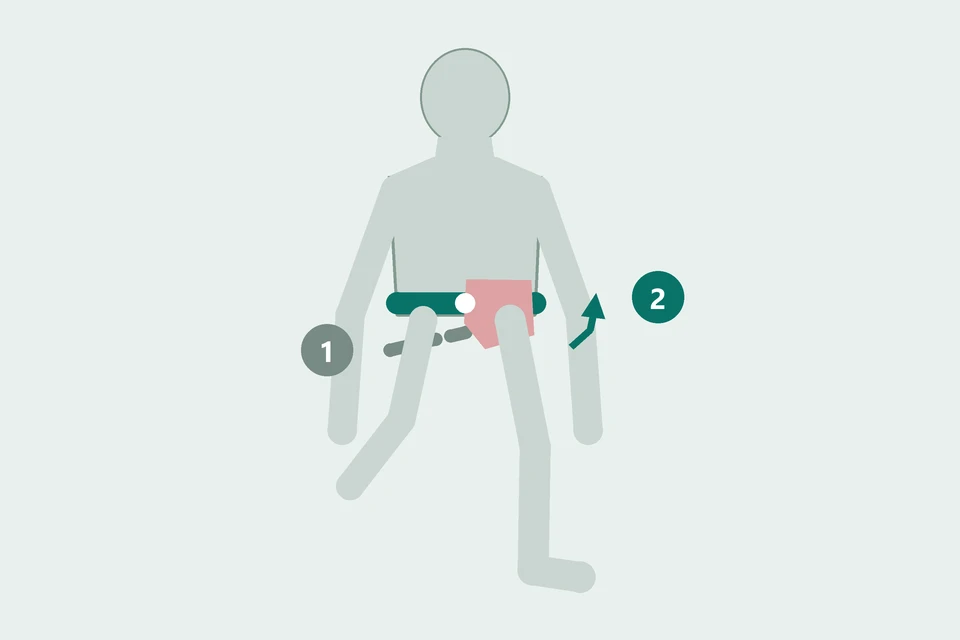 Front view on one leg: the pelvis moves from a tilted position (1, dashed) toward level control (2, teal).