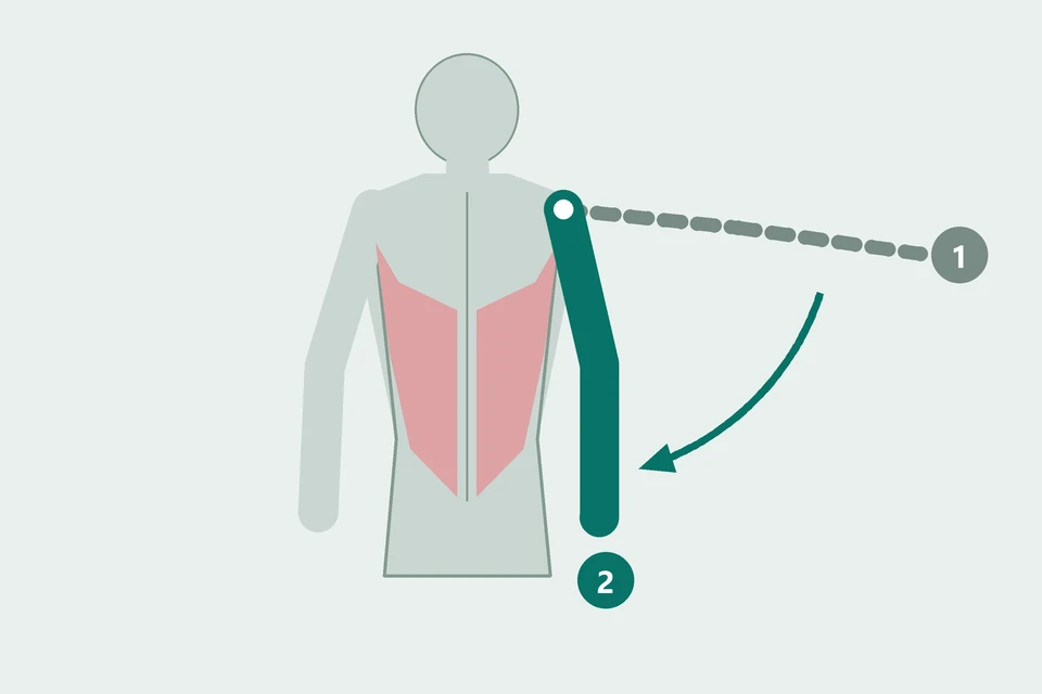 Back view: the arm moves from raised to the side (1, dashed) toward the torso (2, teal).