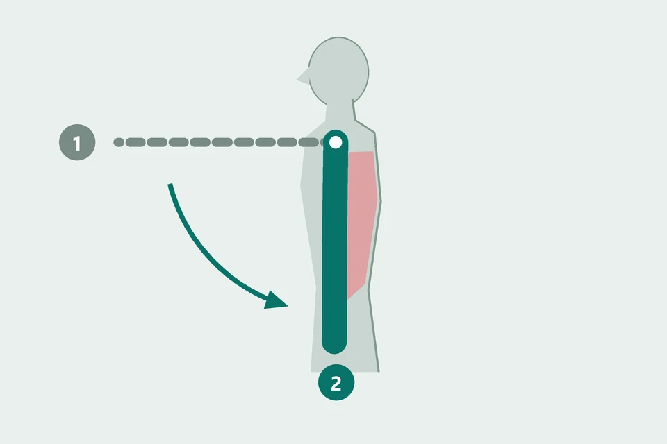 Side view: the arm moves from in front of the body (1, dashed) down toward the torso (2, teal).