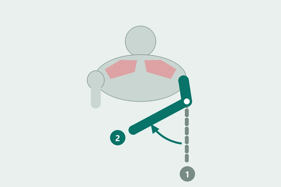 Top view: the bent forearm turns from forward (1, dashed) toward the abdomen (2, teal).