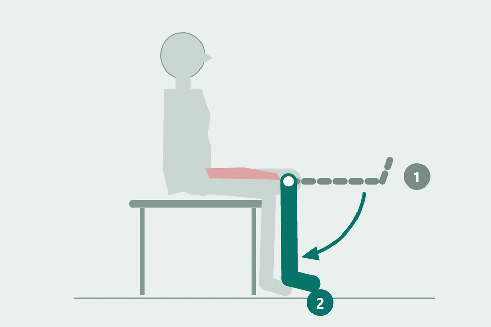 Side view: the lower leg descends from the straightened start (1, dashed) toward a bent knee (2, teal), with the thigh supported.