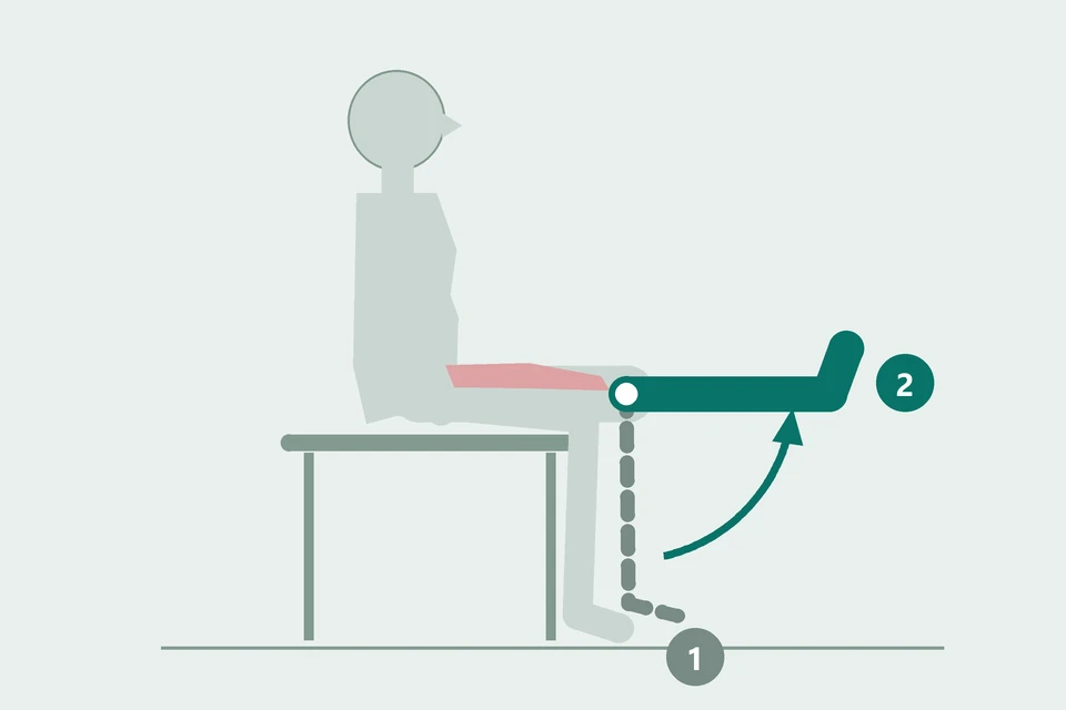 Side view: the lower leg rises from a bent knee (1, dashed) into a straightened position (2, teal), while the thigh stays supported.