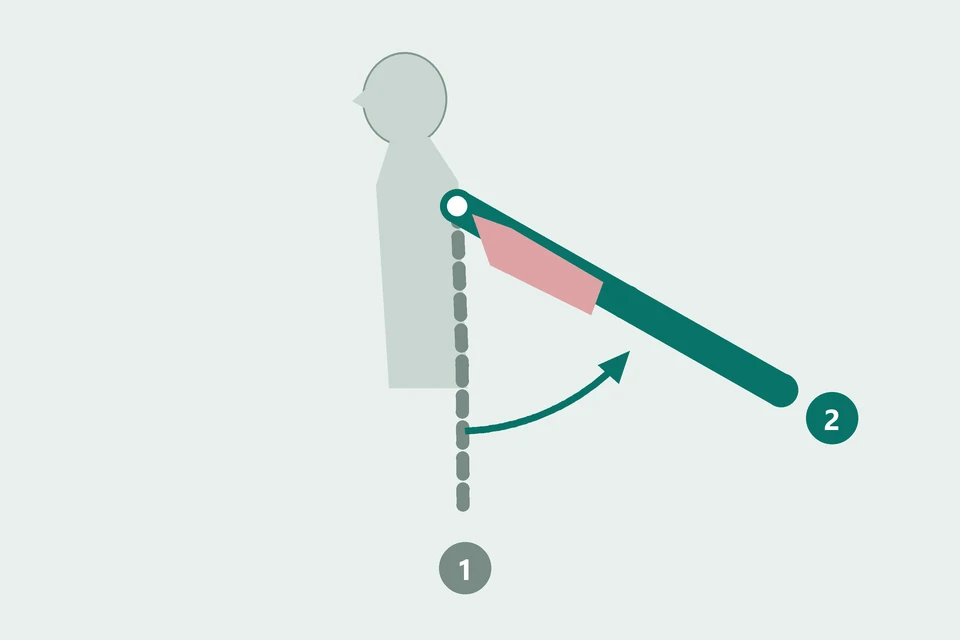 Side view of a torso: the straight upper arm moves from beside the body (1, dashed) backward (2, teal).